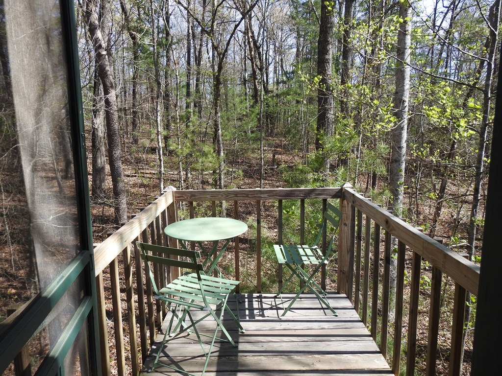 55 Deer Watch Lane Blue Ridge, GA 30513 - Photo 32 of 34 Gallery Image 32