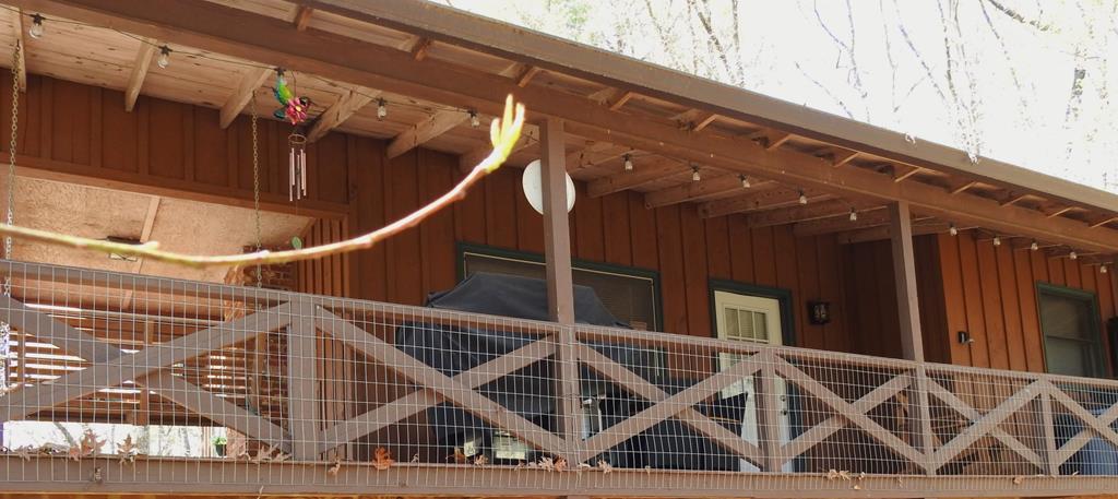 55 Deer Watch Lane Blue Ridge, GA 30513 - Photo 34 of 34 Gallery Image 34