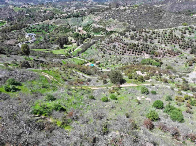 a view of a lush green hillside and houses