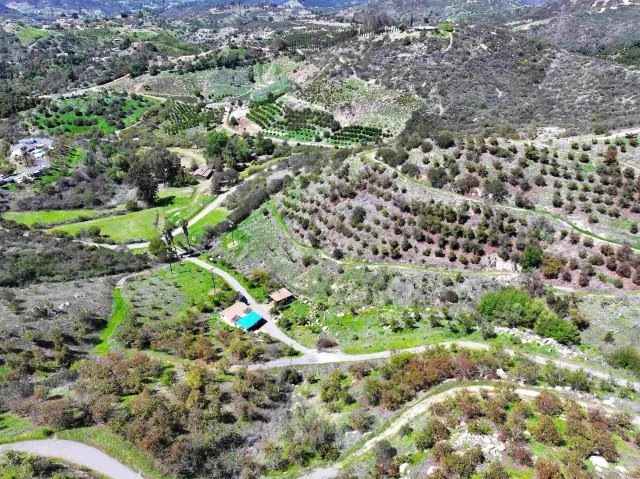 a view of a lush green hillside and a houses