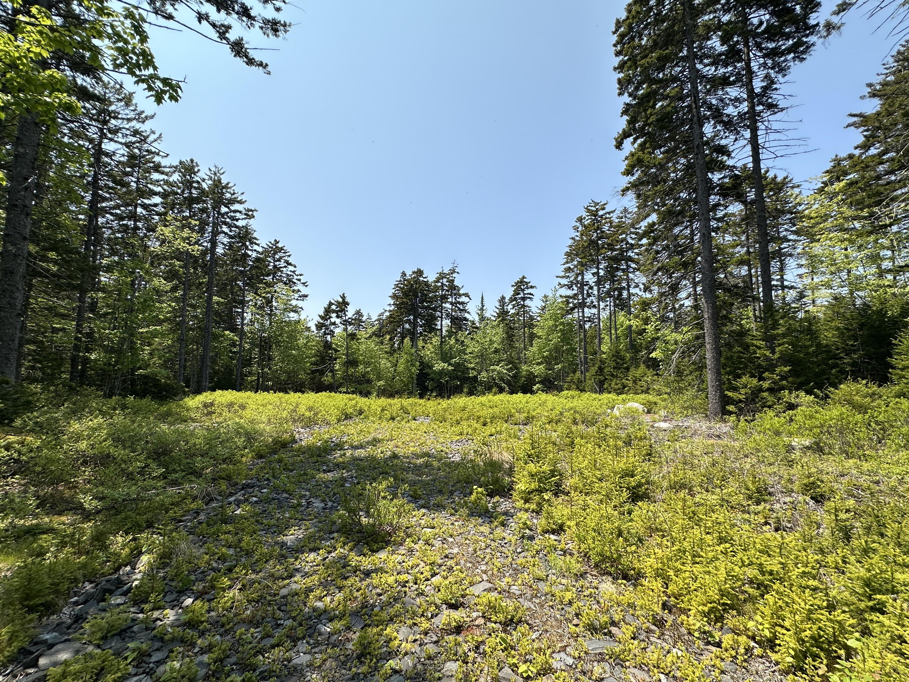 Lot 5 Waymouth Road Tenants Harbor, ME 04860 - Photo 42 of 56 June 2025