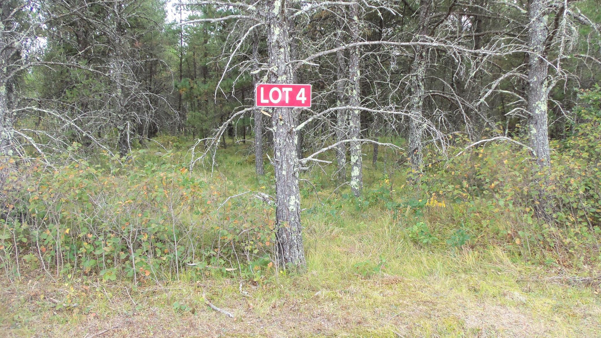 Lot 4 3 Mile Road Minong, WI 54859 - Photo 1 of 1 Gallery Image 1