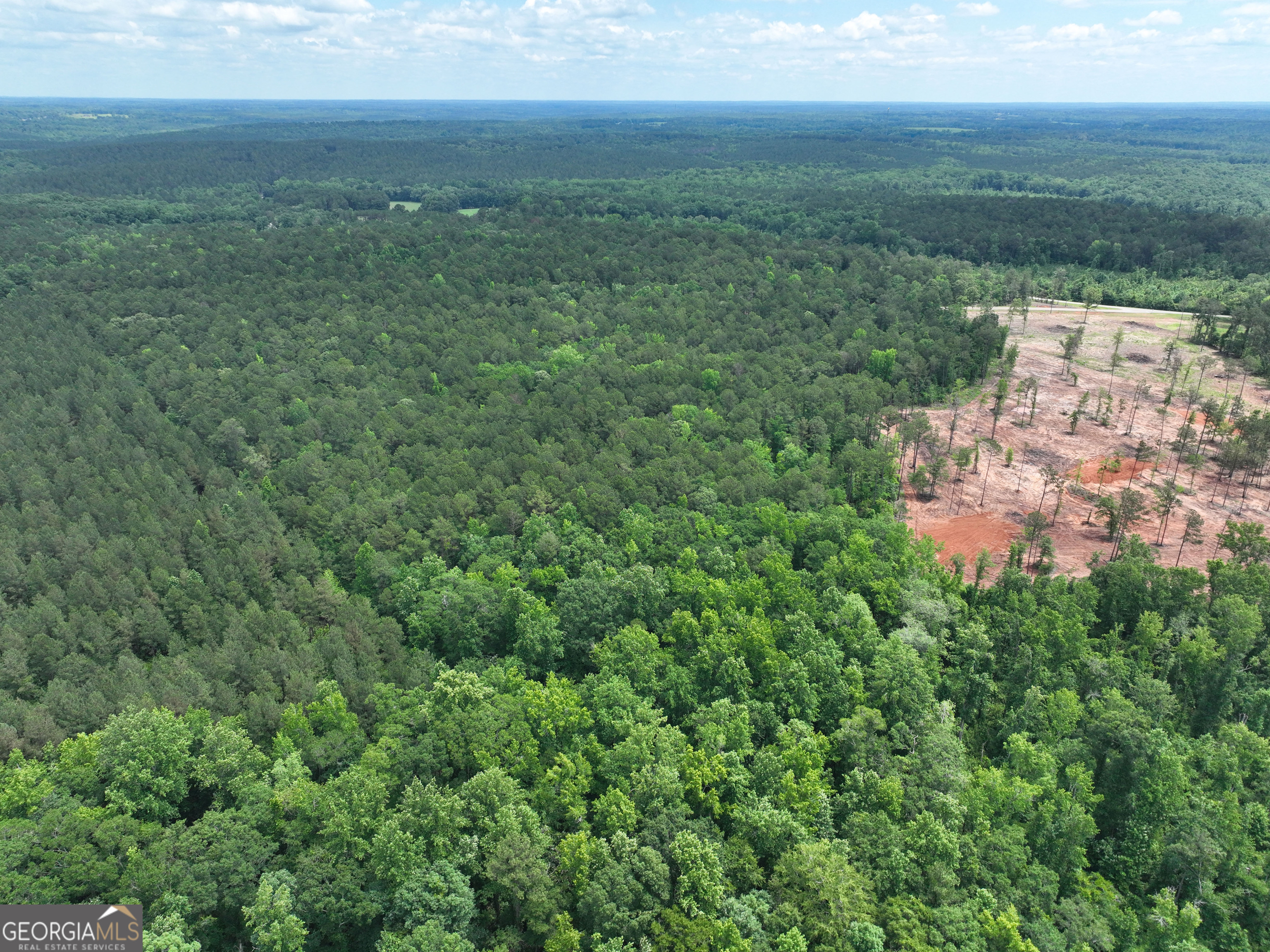 12.35-ac White Road Pine Mountain, GA 31822 - Photo 11 of 14 a view of a city with lush green forest