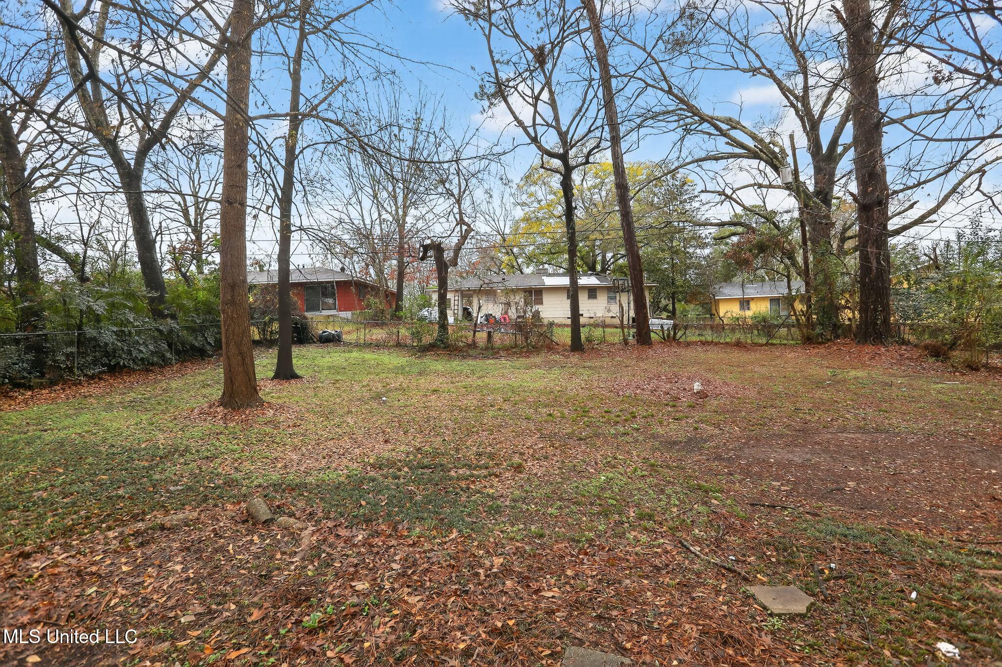 227 Queen Anne Lane Jackson, MS 39209 - Photo 5 of 39 03_227_Queen_Anne_Ln_Jackson_MS_39209-Ex