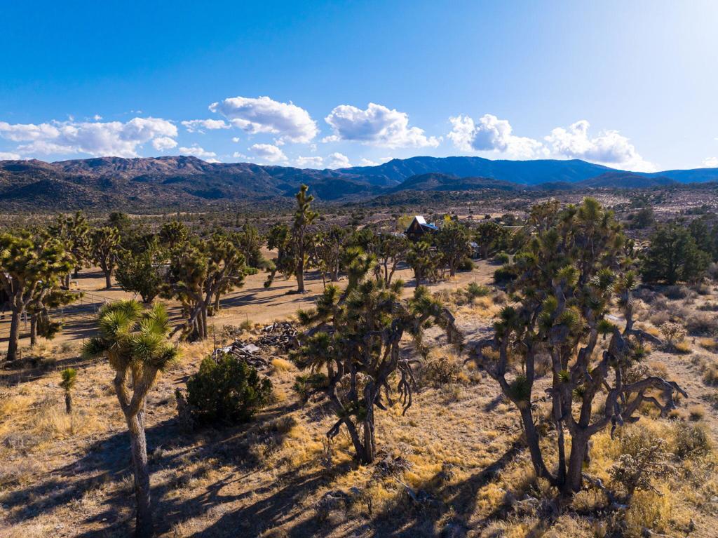 1102 Burlington Road Pioneertown, CA 92268 - Photo 63 of 68 a view of a sky