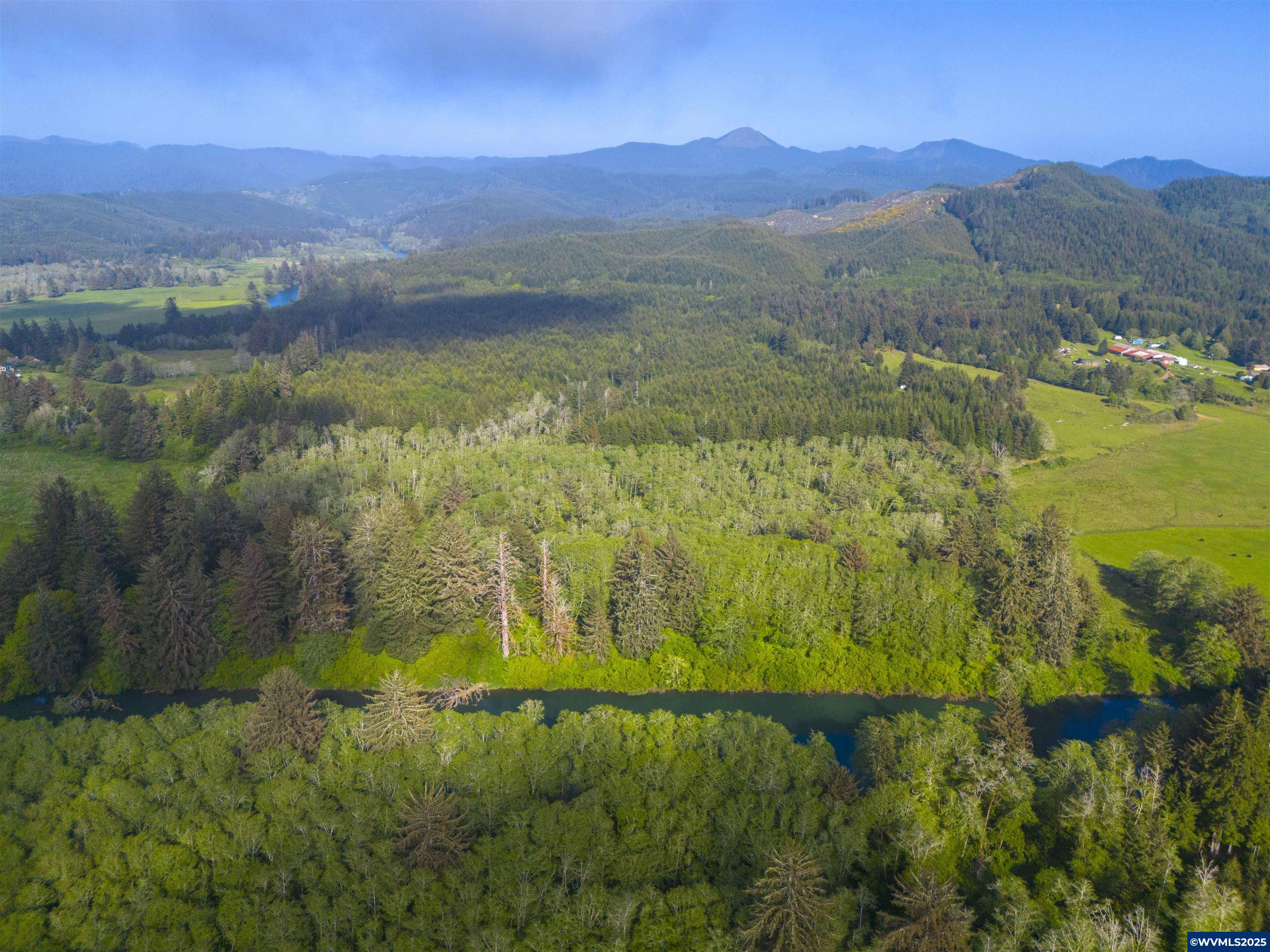 0 South Elmer Miller Road Lincoln City, OR 97367 - Photo 8 of 23