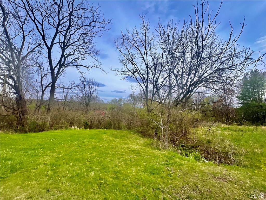 4071 Mountain Road Lower Macungie Township, PA 18062 - Photo 3 of 7