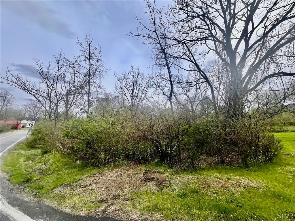 4071 Mountain Road Lower Macungie Township, PA 18062 - Photo 4 of 7