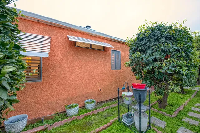 a view of yard with a plants