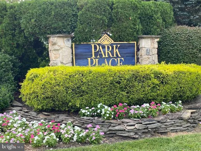 a view of a bunch of flowers