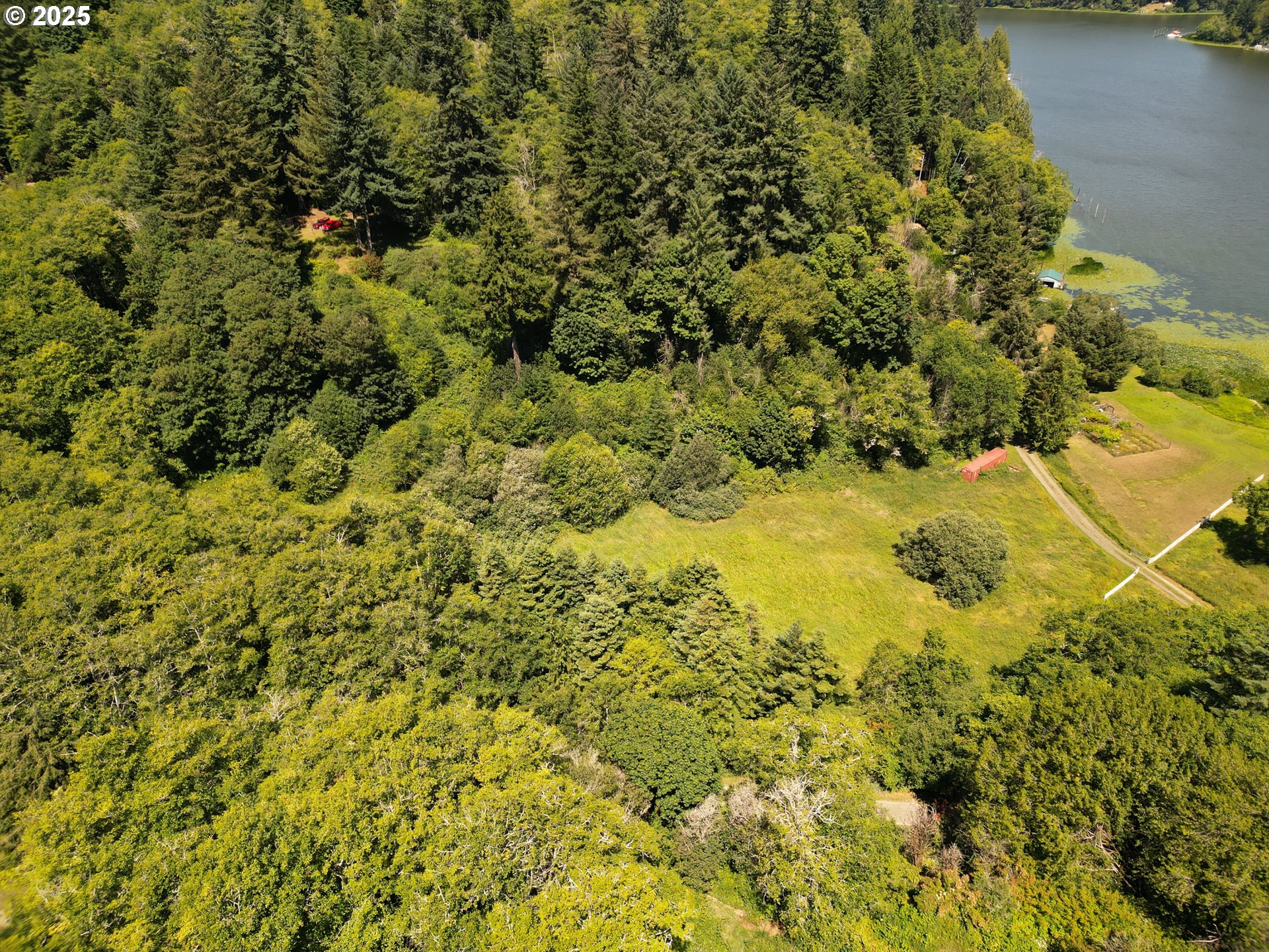 0 Sun Lake Road Lakeside, OR 97449 - Photo 3 of 6 a view of a yard of a house