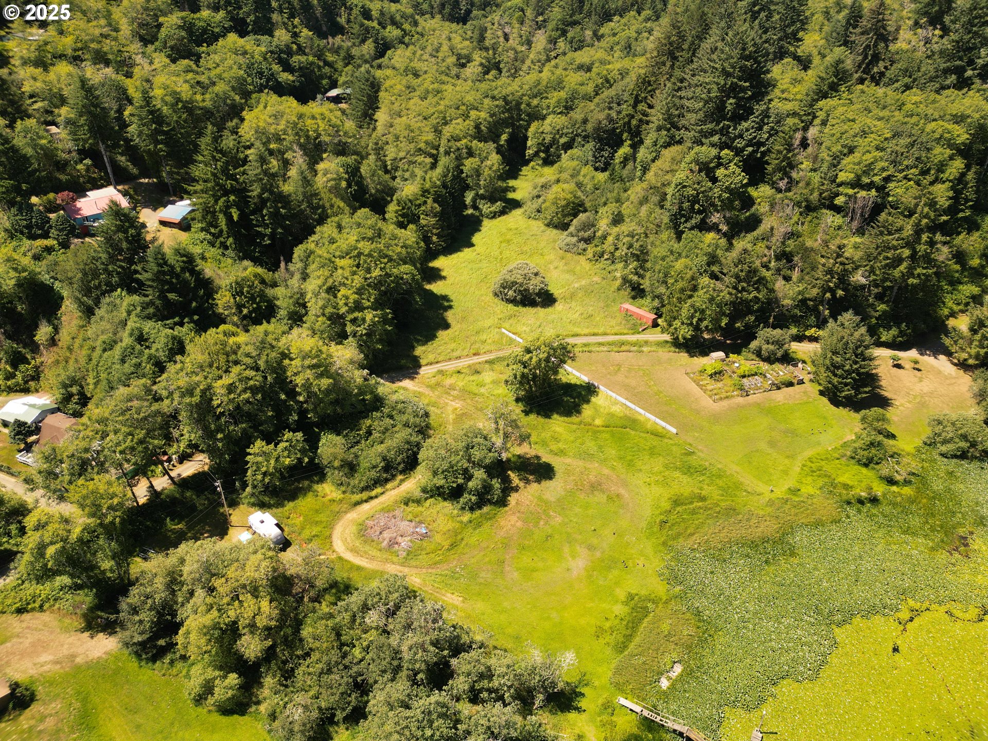 0 Sun Lake Road Lakeside, OR 97449 - Photo 4 of 6 a view of a yard with plants