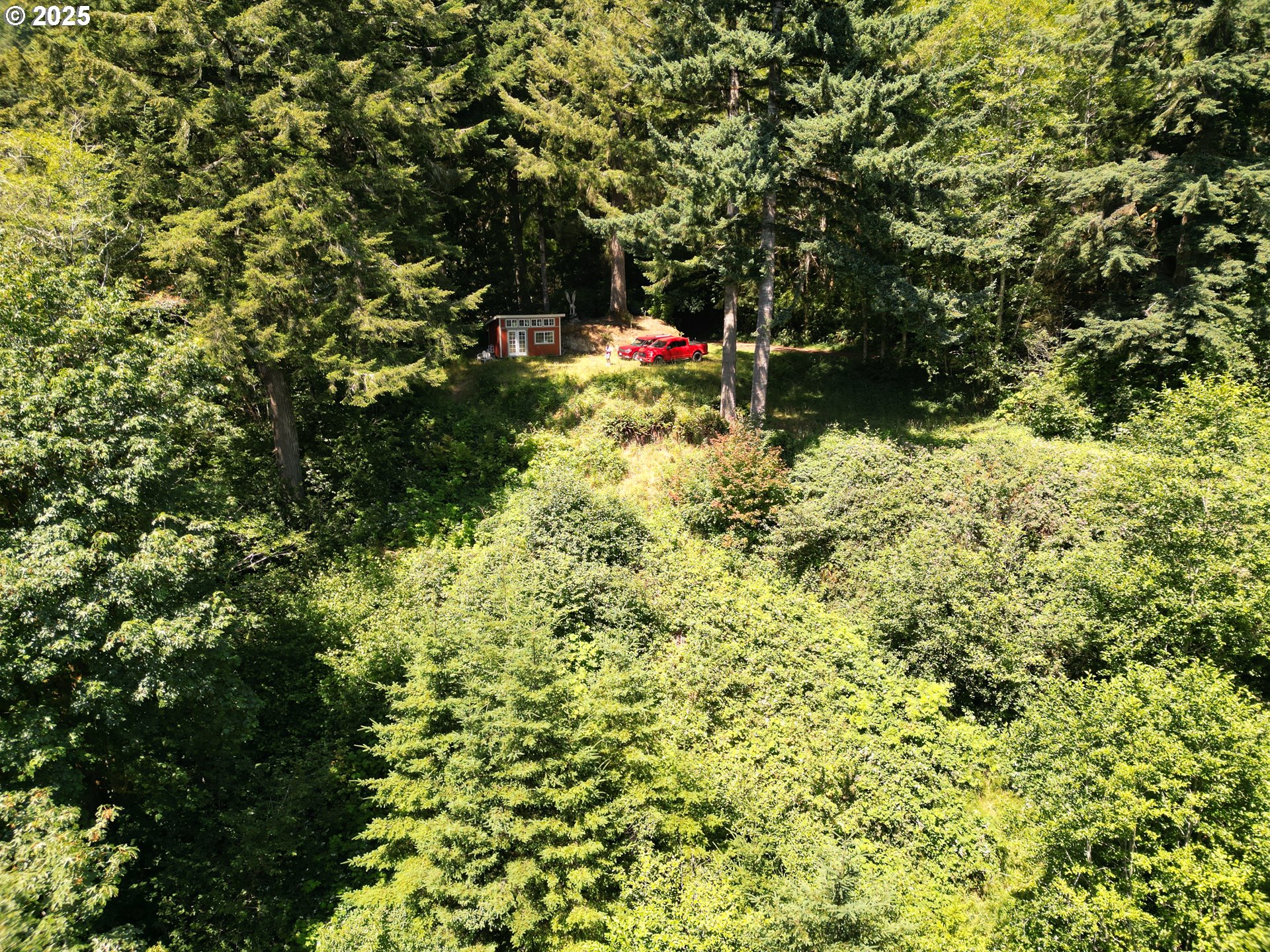 0 Sun Lake Road Lakeside, OR 97449 - Photo 6 of 6 a backyard of a house with a tree