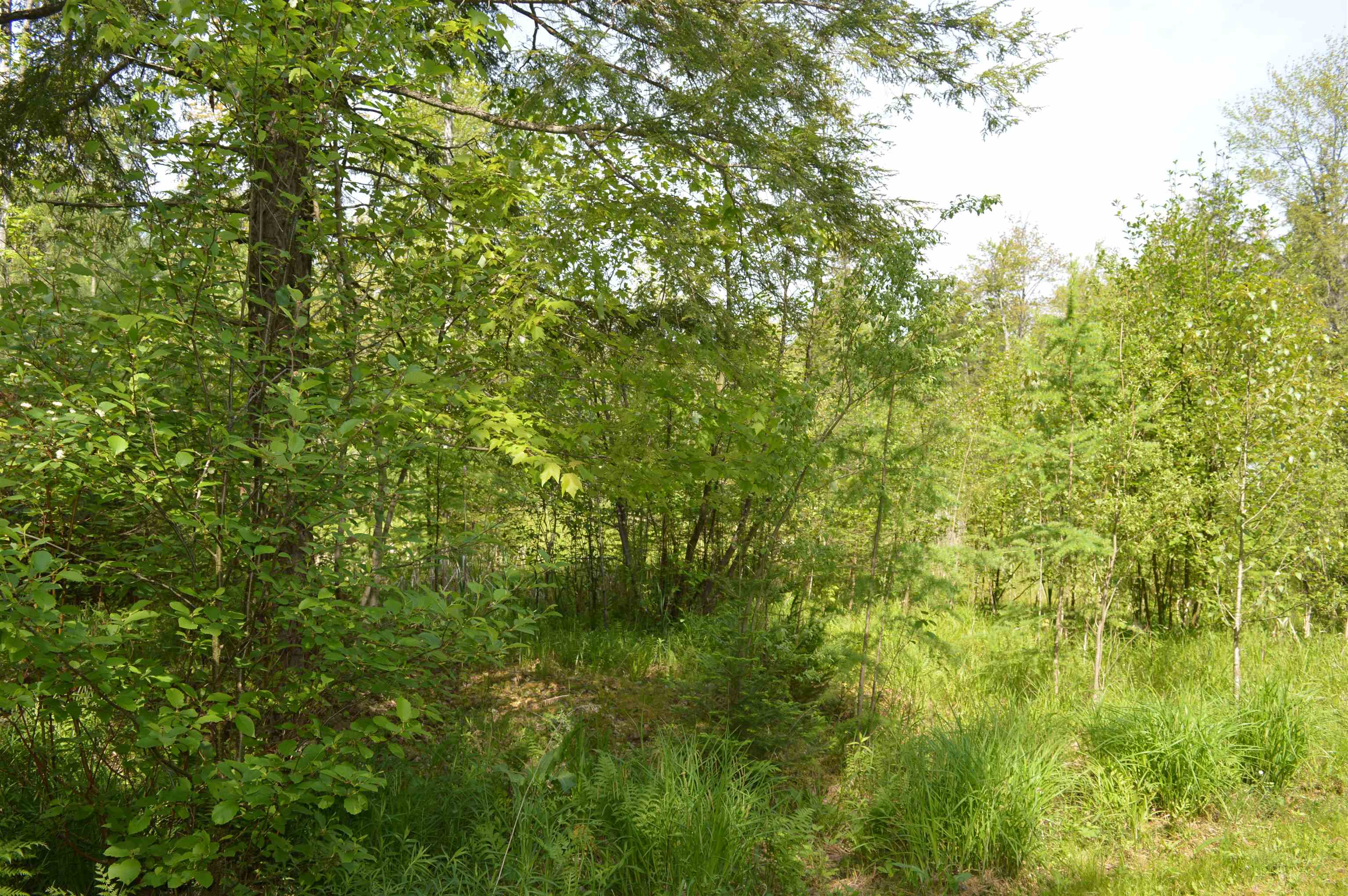 6166 Butler Road Southwest South Boardman, MI 49680 - Photo 25 of 36 1900433-24.JPG