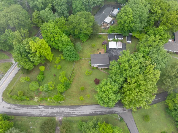 a view of a garden in a patio