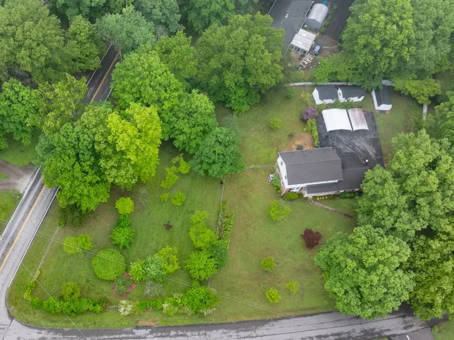 a view of a garden with a bench