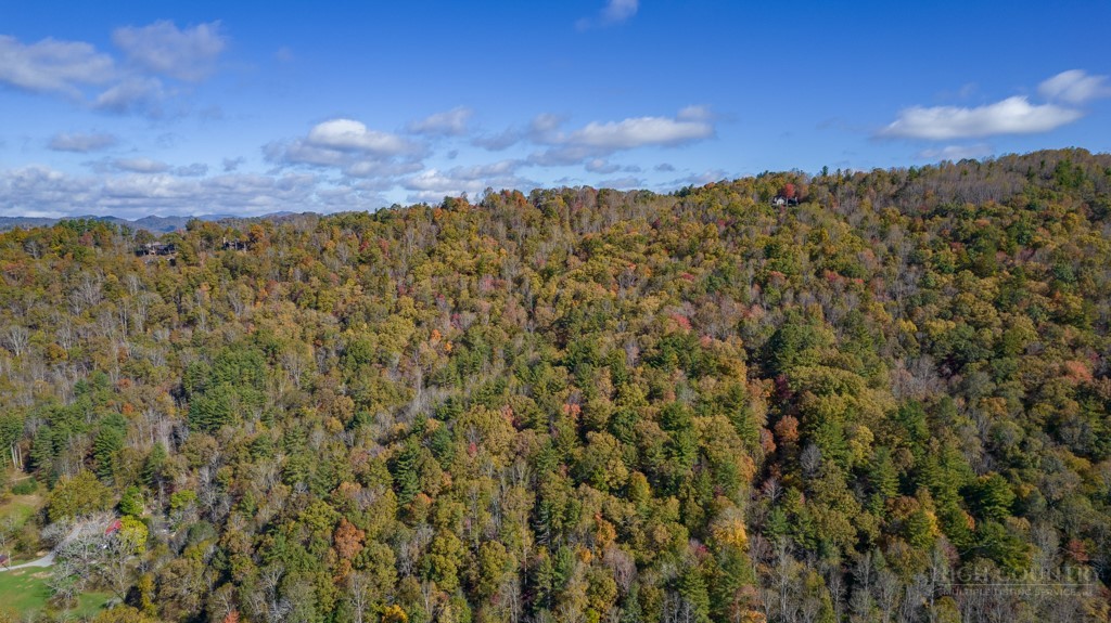 6 Walnut Ridge Road Vilas, NC 28692 - Photo 11 of 12 a view of a city