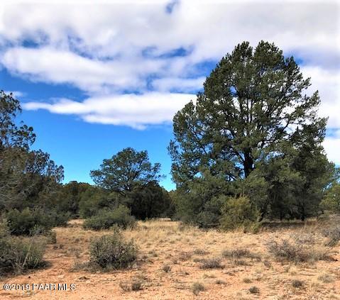 0 West Sarah Road Prescott, AZ 86305 - Photo 2 of 13 Lot