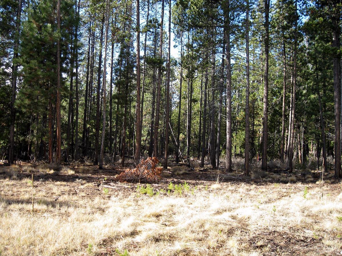 16709 Winchester Road Bend, OR 97707 - Photo 14 of 19 Additional Photo