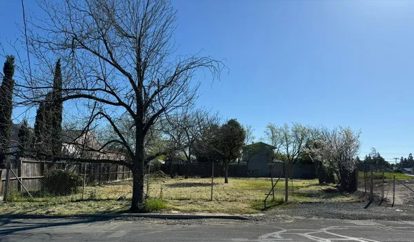 a view of a yard with a tree