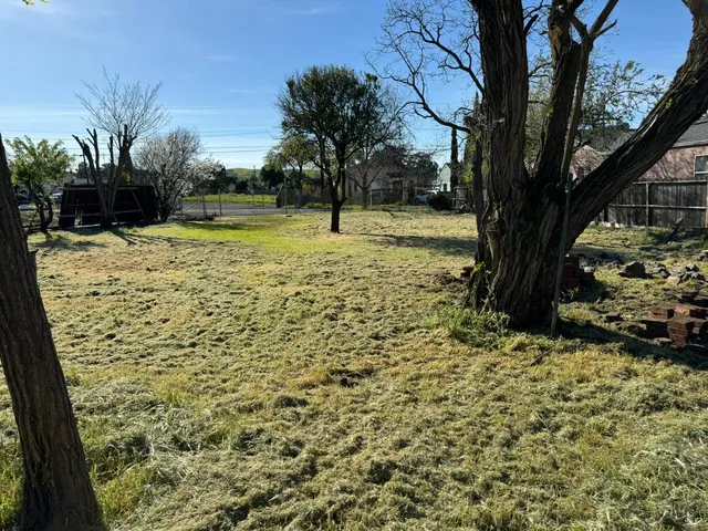 a view of a yard with plants and trees