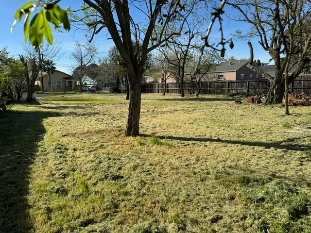 a view of yard with tree