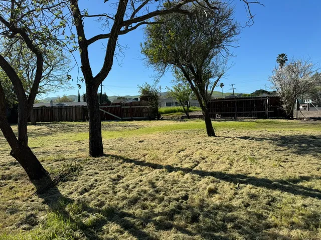 a view of a yard with a tree