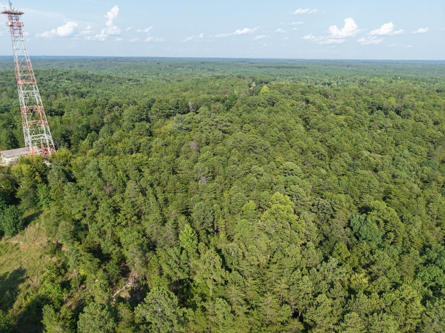 3096 State Rd S-20-33, Unit 4 Blair, SC 29015 - Photo 21 of 32 DJI_20260811172825_0331_D (Large)