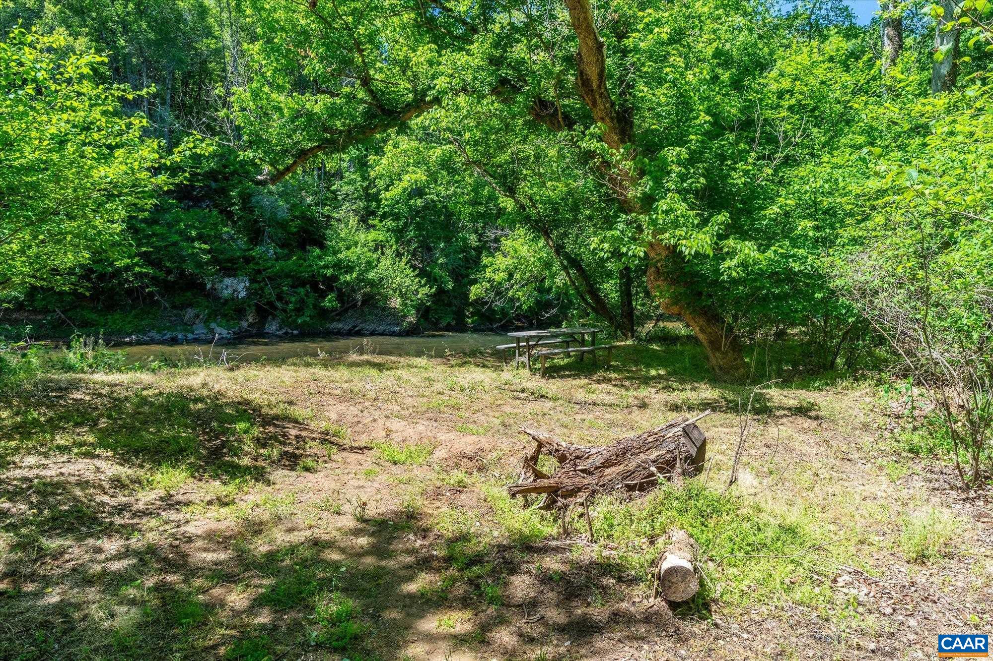 1698 Broken Island Road Palmyra, VA 22963 - Photo 63 of 74 a view of a tree with a yard