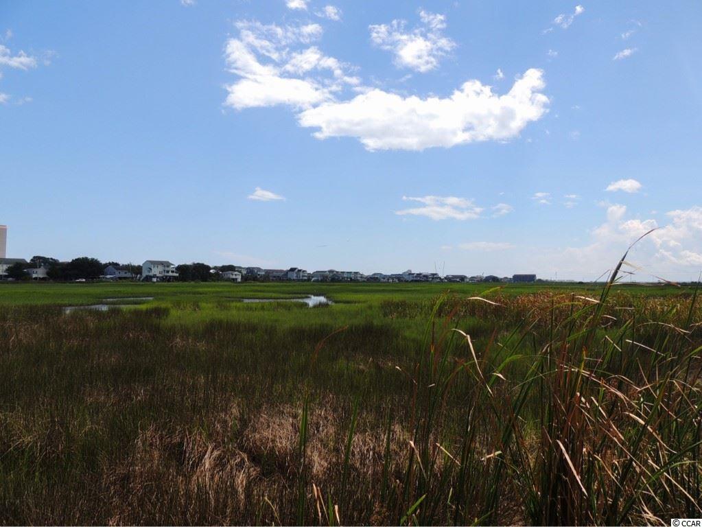 1113 Osprey Court Murrells Inlet, SC 29576 - Photo 33 of 40 Gallery Image 33