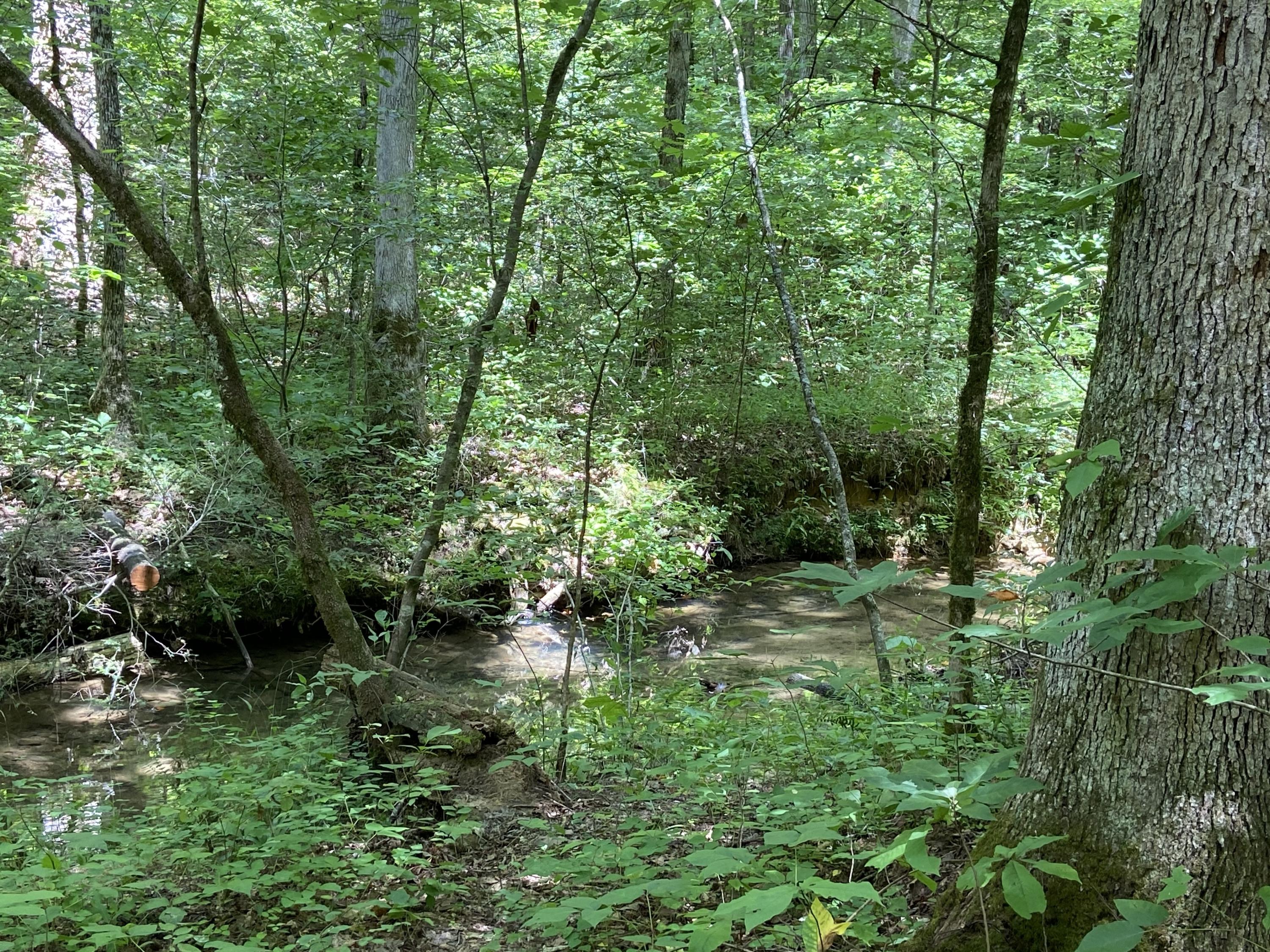 3443 Allegheny Loop Road Maryville, TN 37803 - Photo 1 of 9 3443 Allegheny Loop Road