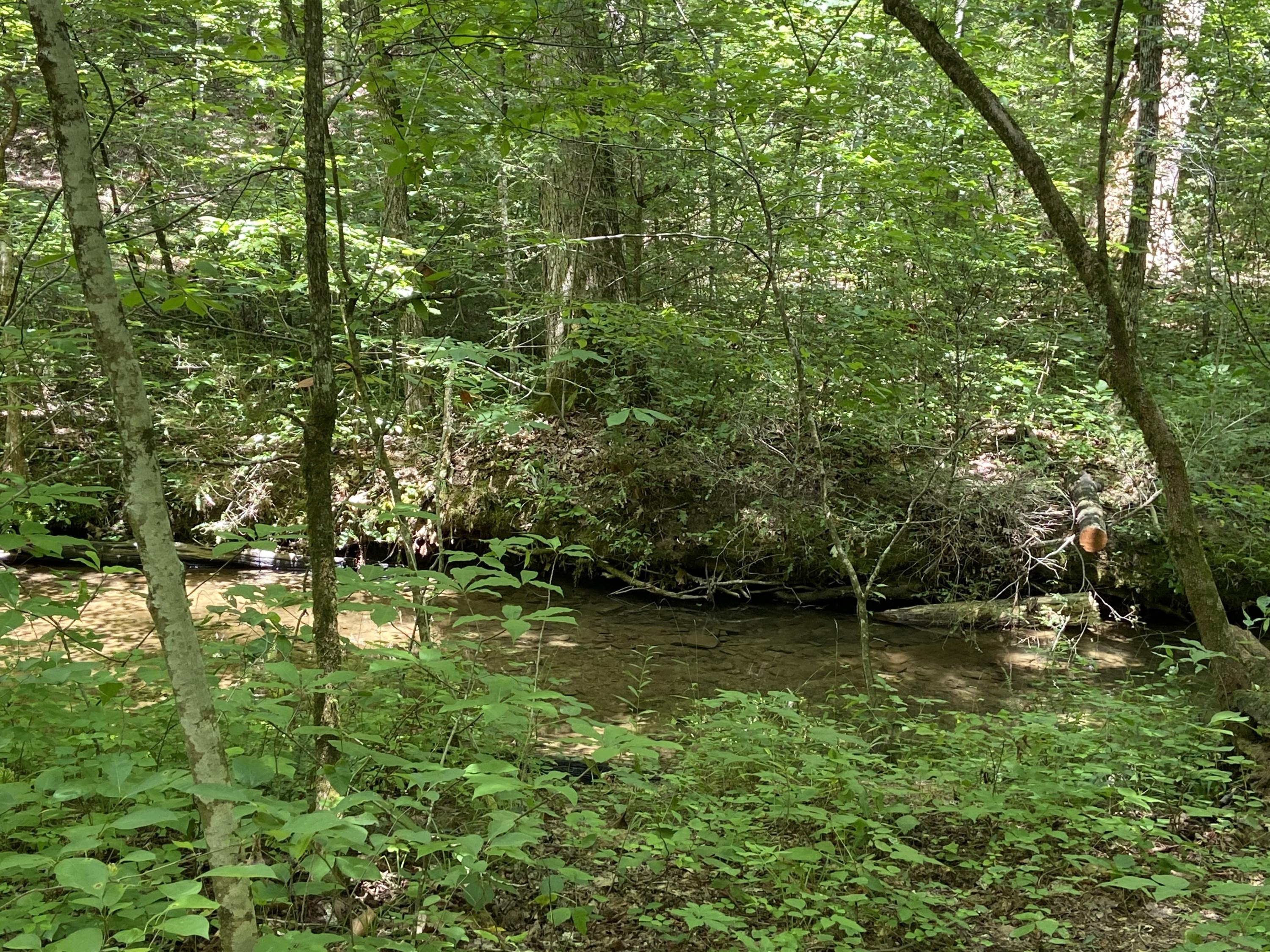 3443 Allegheny Loop Road Maryville, TN 37803 - Photo 2 of 9 Creek runs full width of property