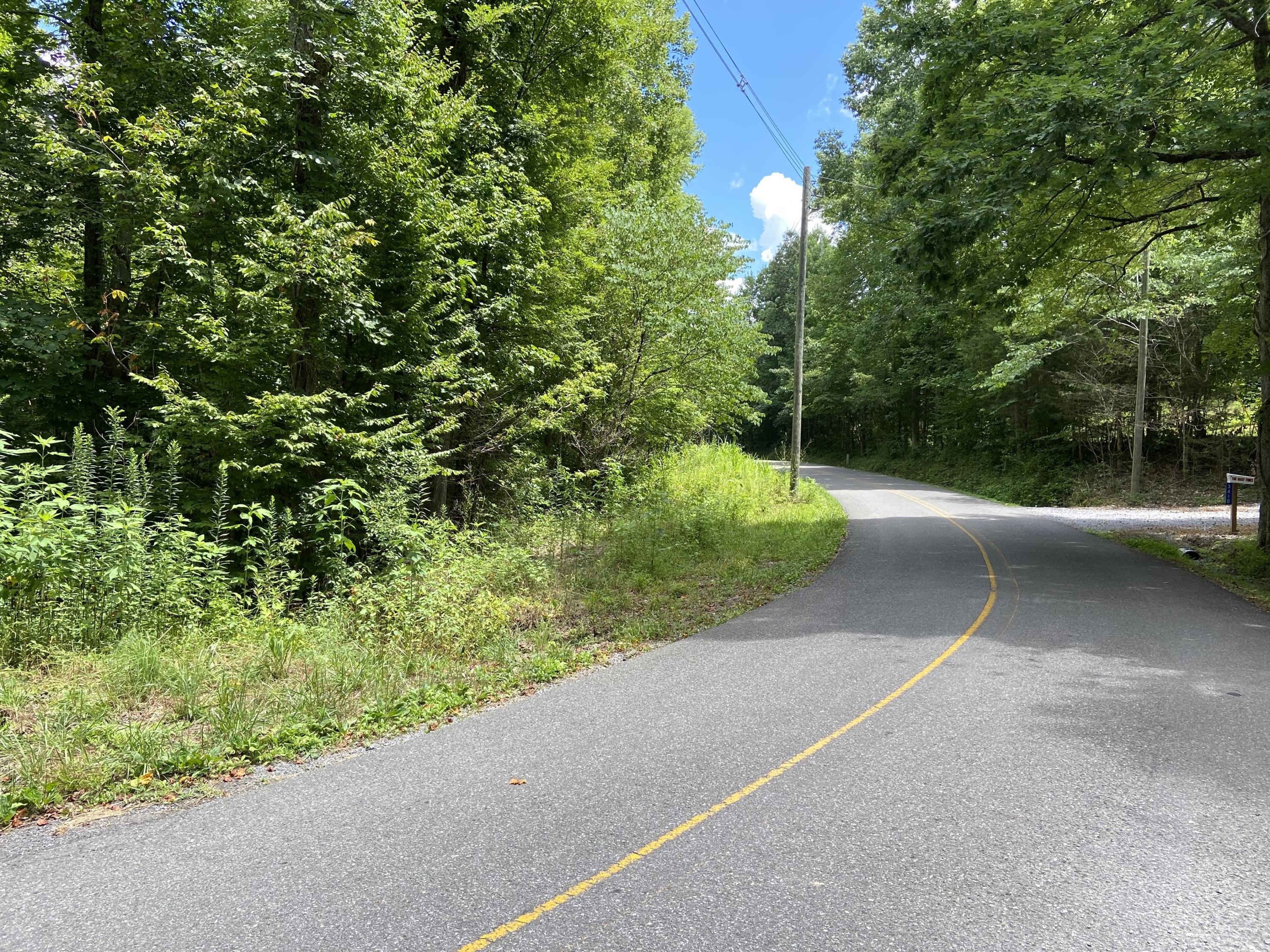 3443 Allegheny Loop Road Maryville, TN 37803 - Photo 3 of 9 View to East
