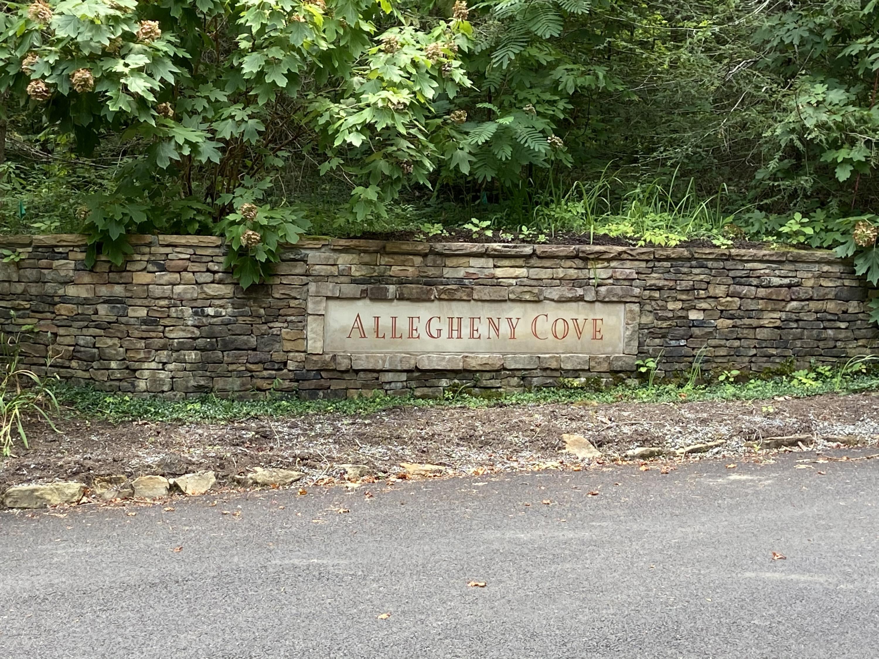 3443 Allegheny Loop Road Maryville, TN 37803 - Photo 5 of 9 Directly across from Allegheny Cove