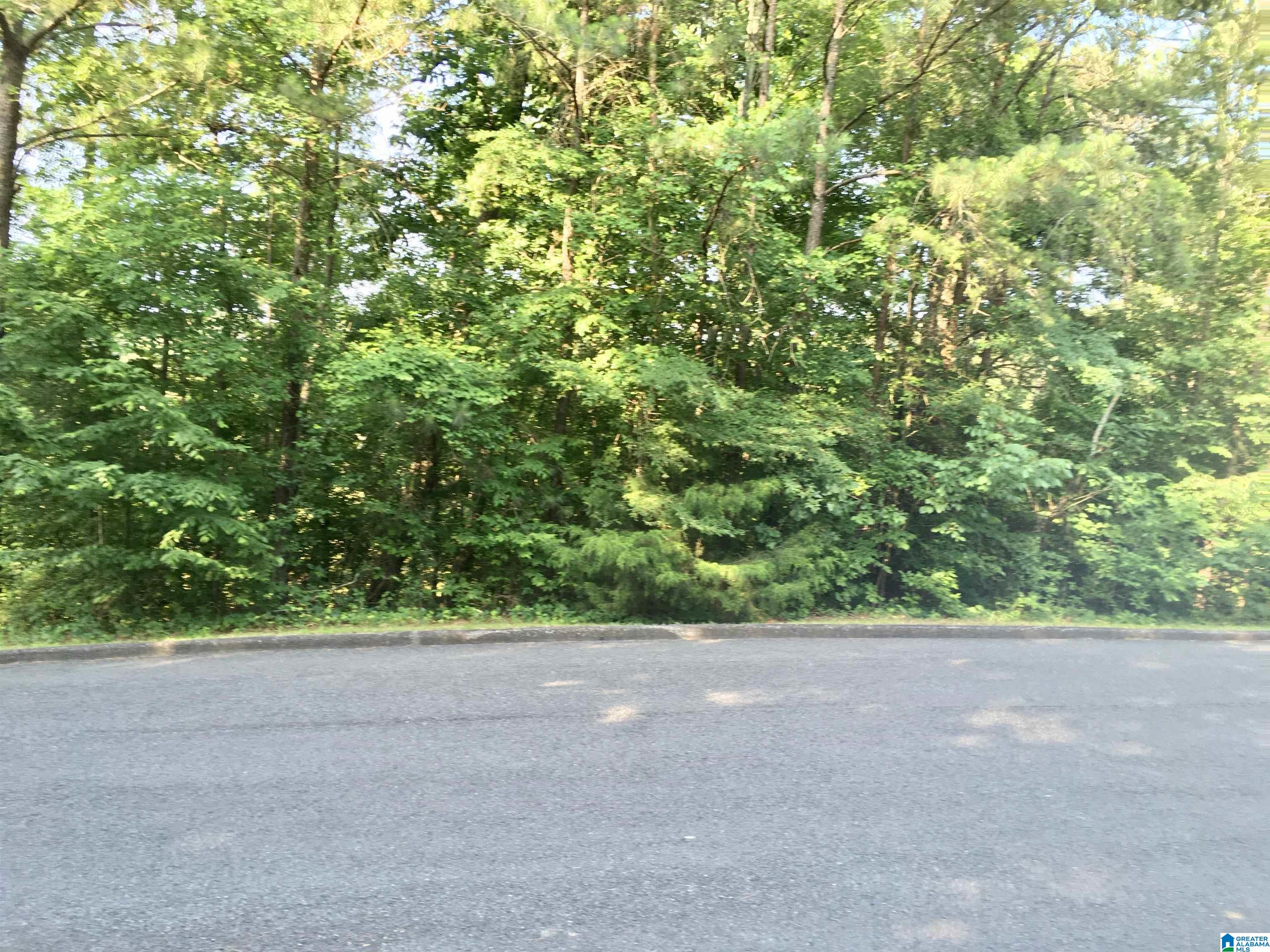 0 Quail Ridge Road, Unit 1 Oneonta, AL 35121 - Photo 15 of 29