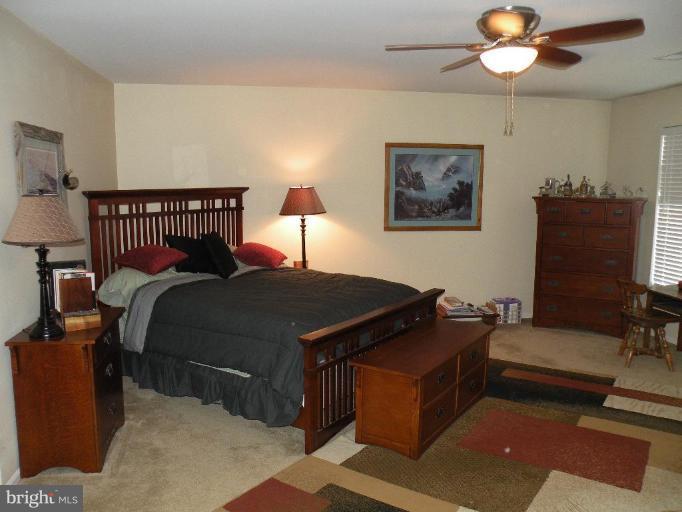 6 Archer Road Fredericksburg, VA 22405 - Photo 15 of 24 Huge Master with Huge Walkin Closet.