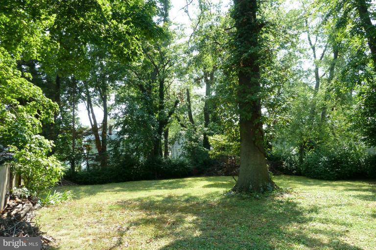 2608 Sheraton Street Silver Spring, MD 20906 - Photo 3 of 6 a view of a yard with a trees