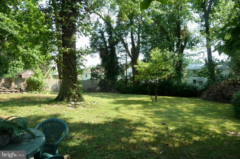 2608 Sheraton Street Silver Spring, MD 20906 - Photo 4 of 6 a view of a yard with a tree