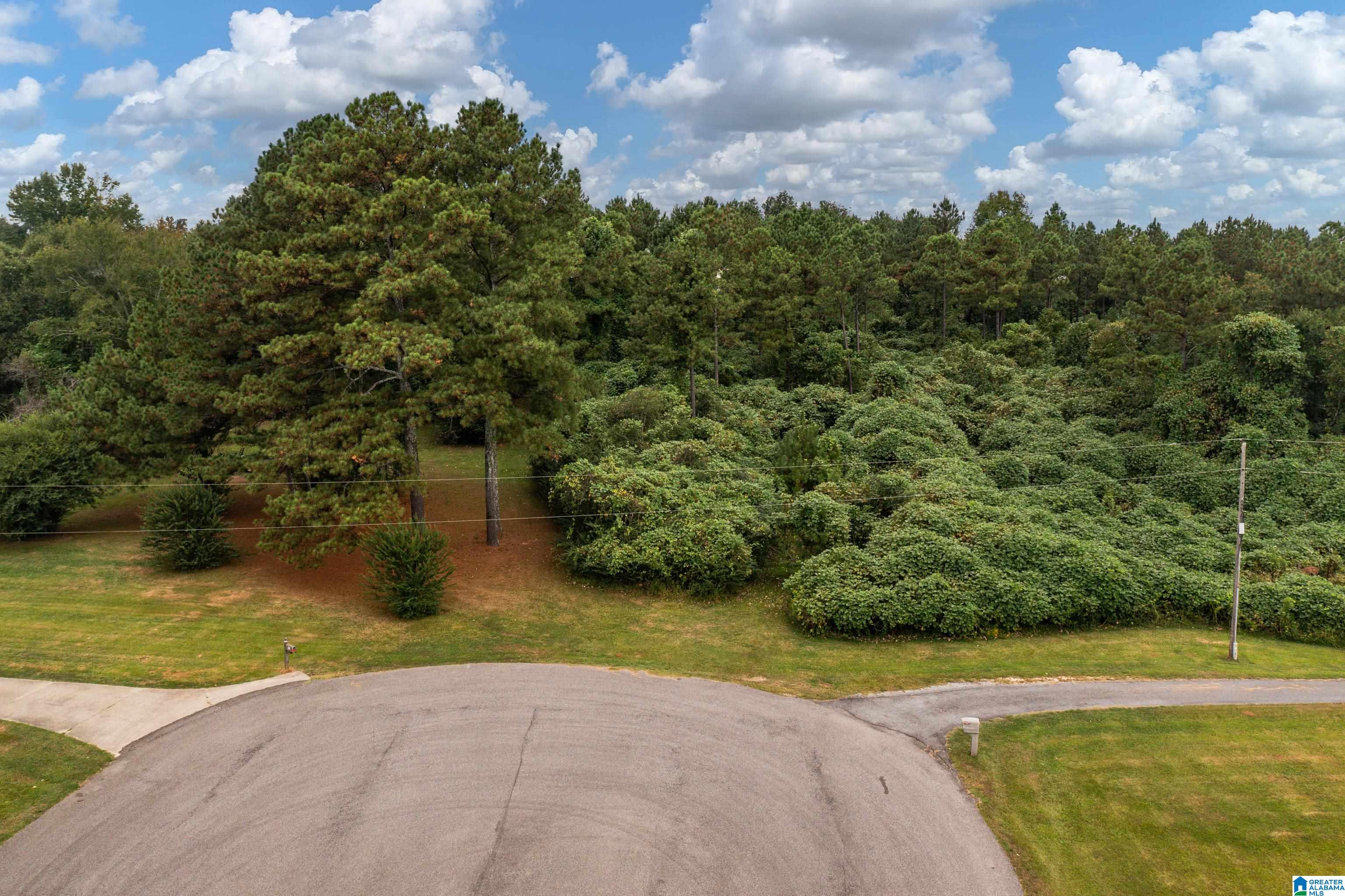 5981 Miles Spring Road, Unit 1 Pinson, AL 35126 - Photo 18 of 18 Gallery Image 18