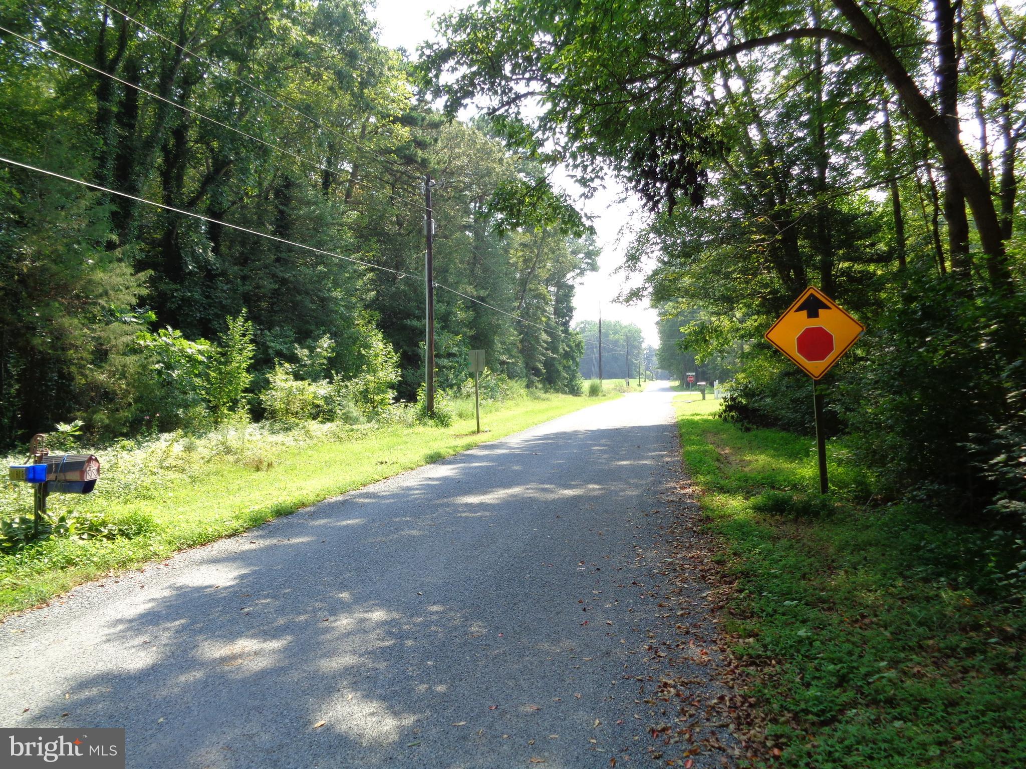 31616 Melson Road Delmar, MD 21875 - Photo 16 of 19 Melson Road Looking East