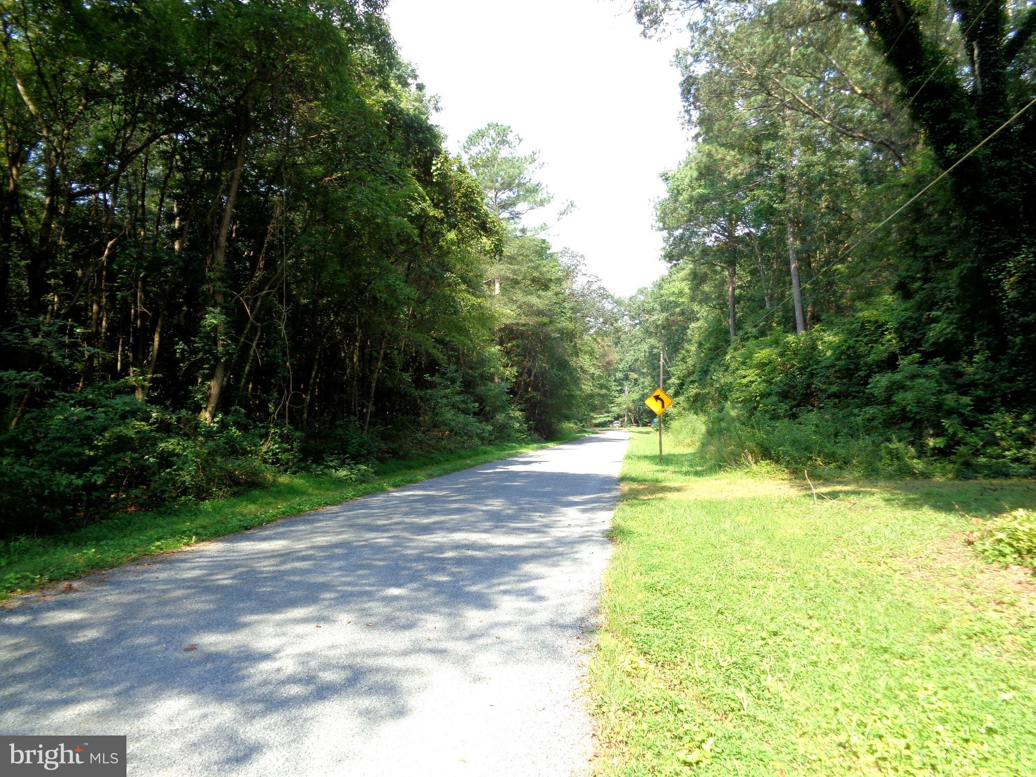 31616 Melson Road Delmar, MD 21875 - Photo 17 of 19 Melson Road Looking West