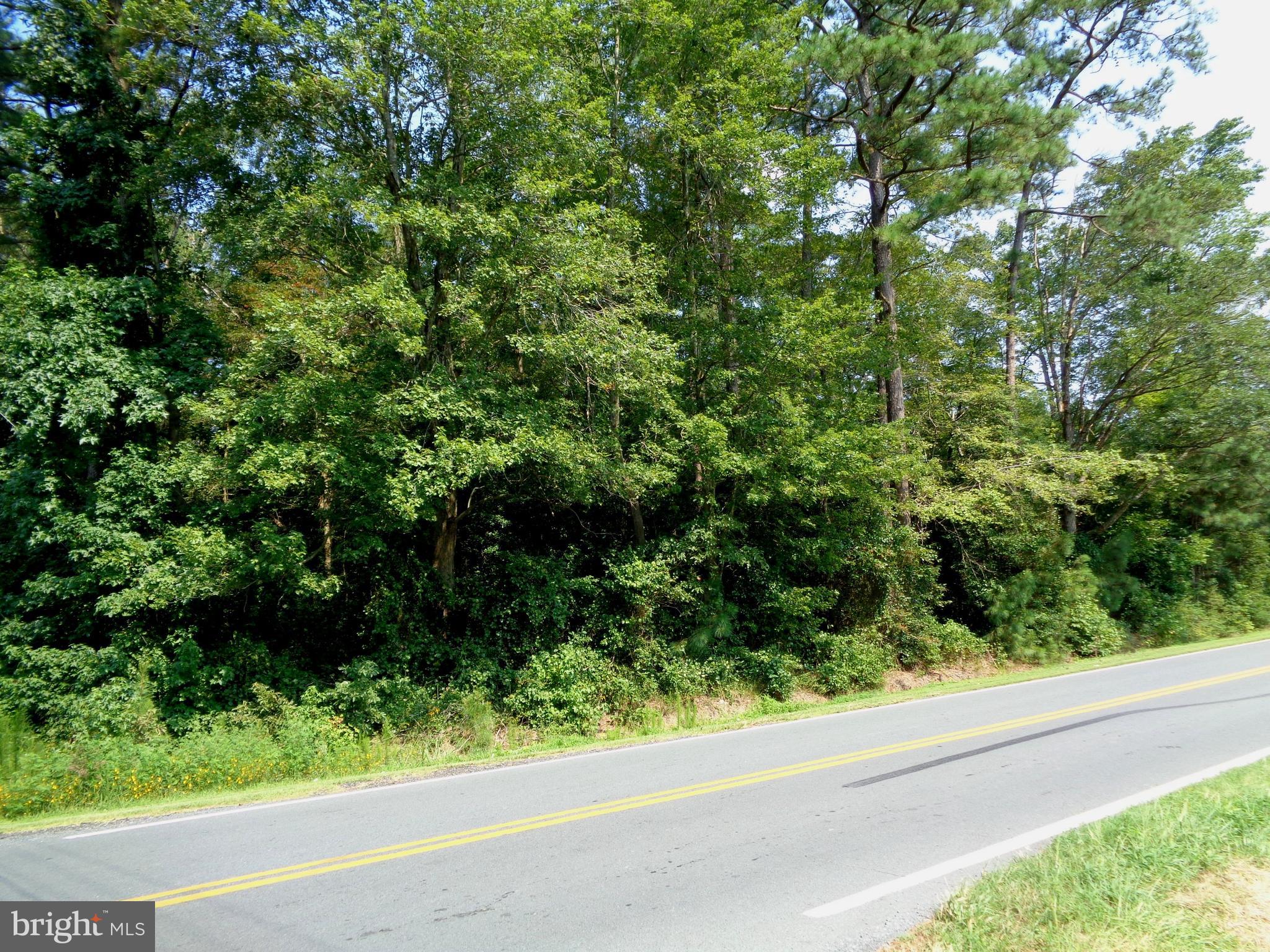 31616 Melson Road Delmar, MD 21875 - Photo 18 of 19 Rum Ridge Road Frontage