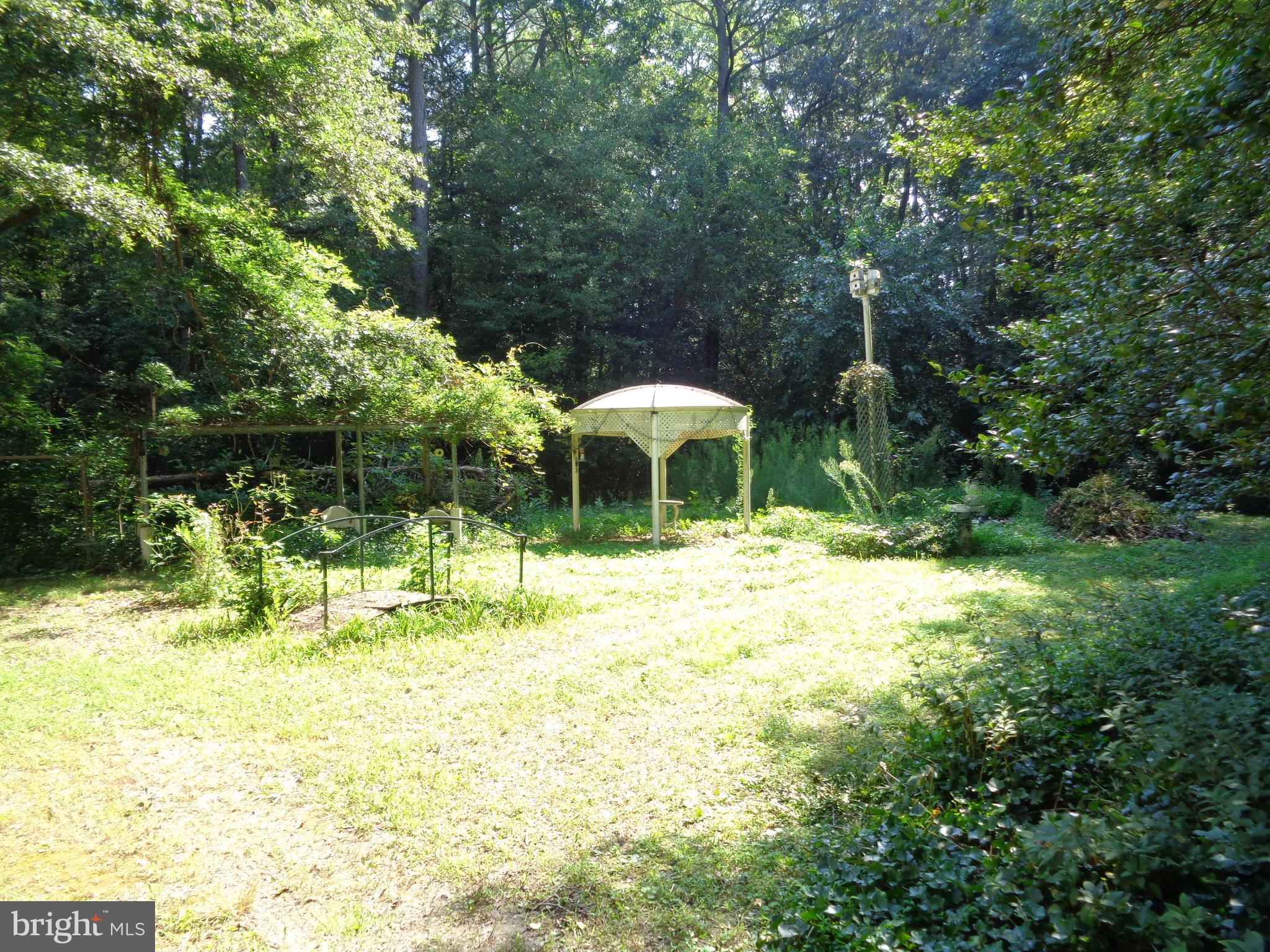 31616 Melson Road Delmar, MD 21875 - Photo 19 of 19 Side Yard