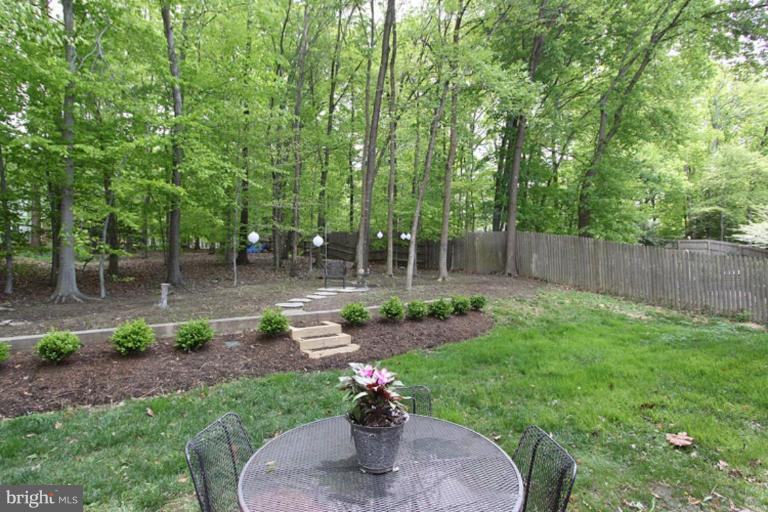 10108 Newhall Road Potomac, MD 20854 - Photo 14 of 16 Back yard
