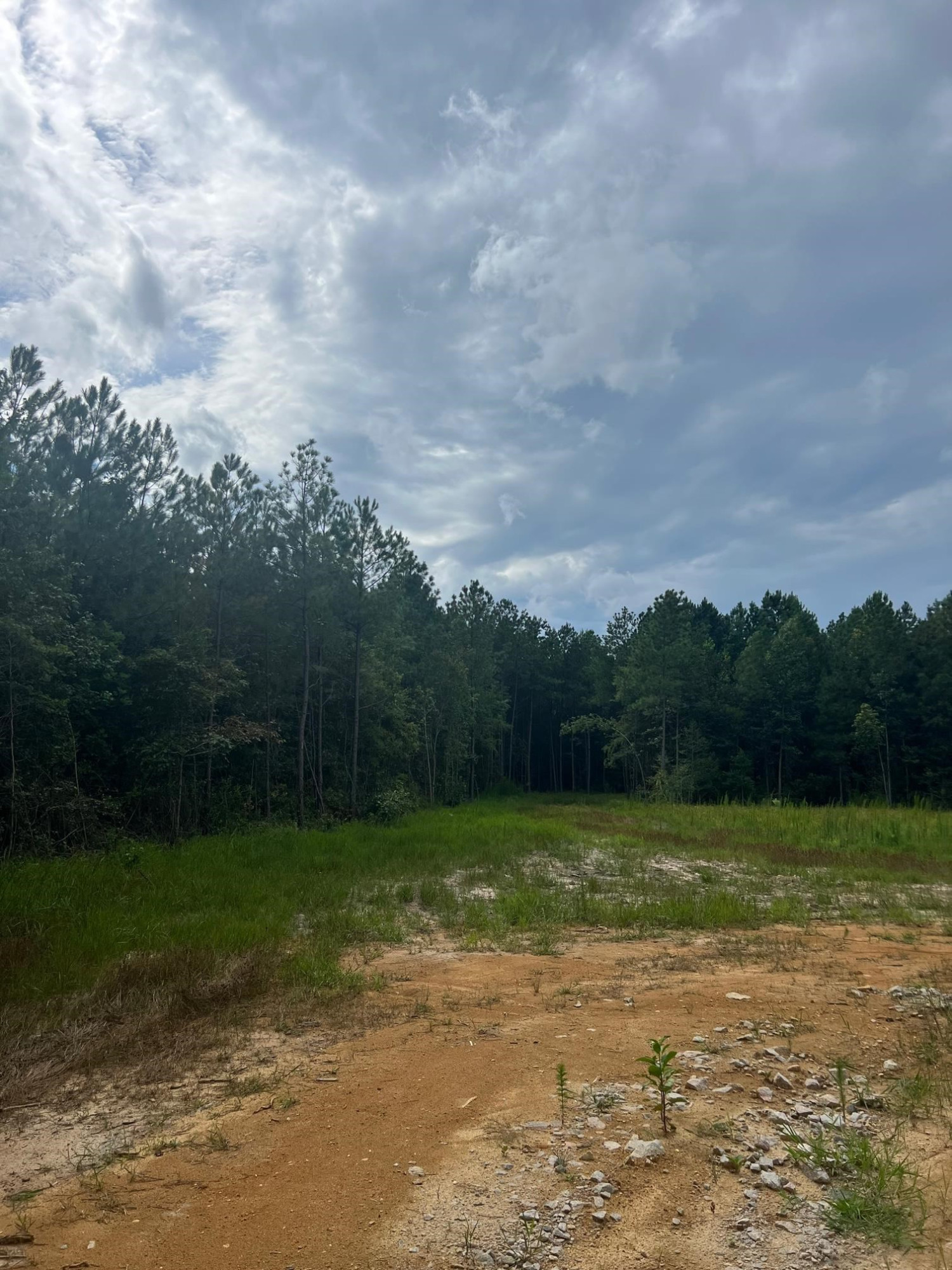 Frazier Rd Spring Spring Hope, NC 27882 - Photo 5 of 7 End of the driveway