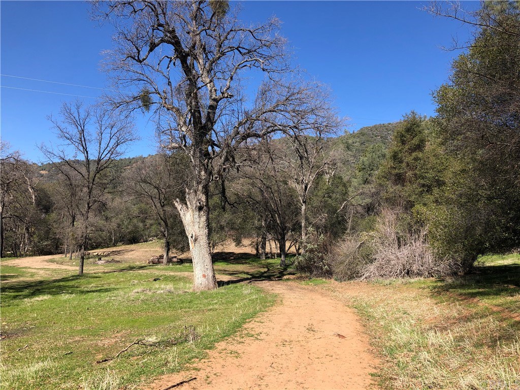 4427 Triangle Road Mariposa, CA 95338 - Photo 1 of 1 Gallery Image 1