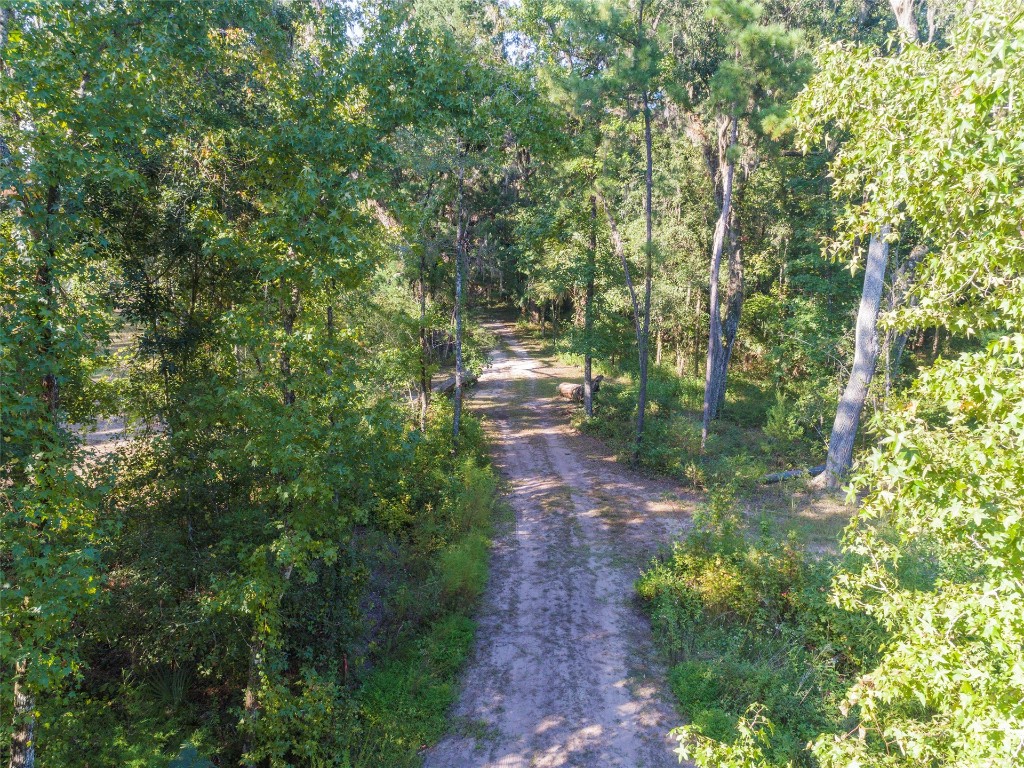 49216 River Bluff Drive Hilliard, FL 32046 - Photo 24 of 28