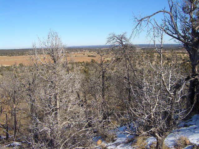 5 Timberland Road, Unit 5A Show Low, AZ 85901 - Photo 1 of 6 Primary Photo