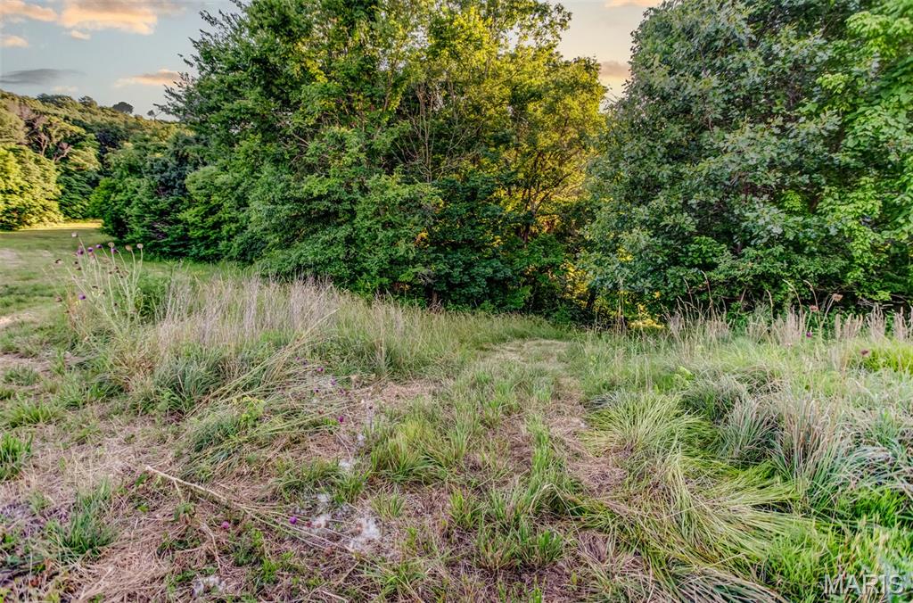 575 Schleeper Hollow Road Hardin, IL 62047 - Photo 41 of 61