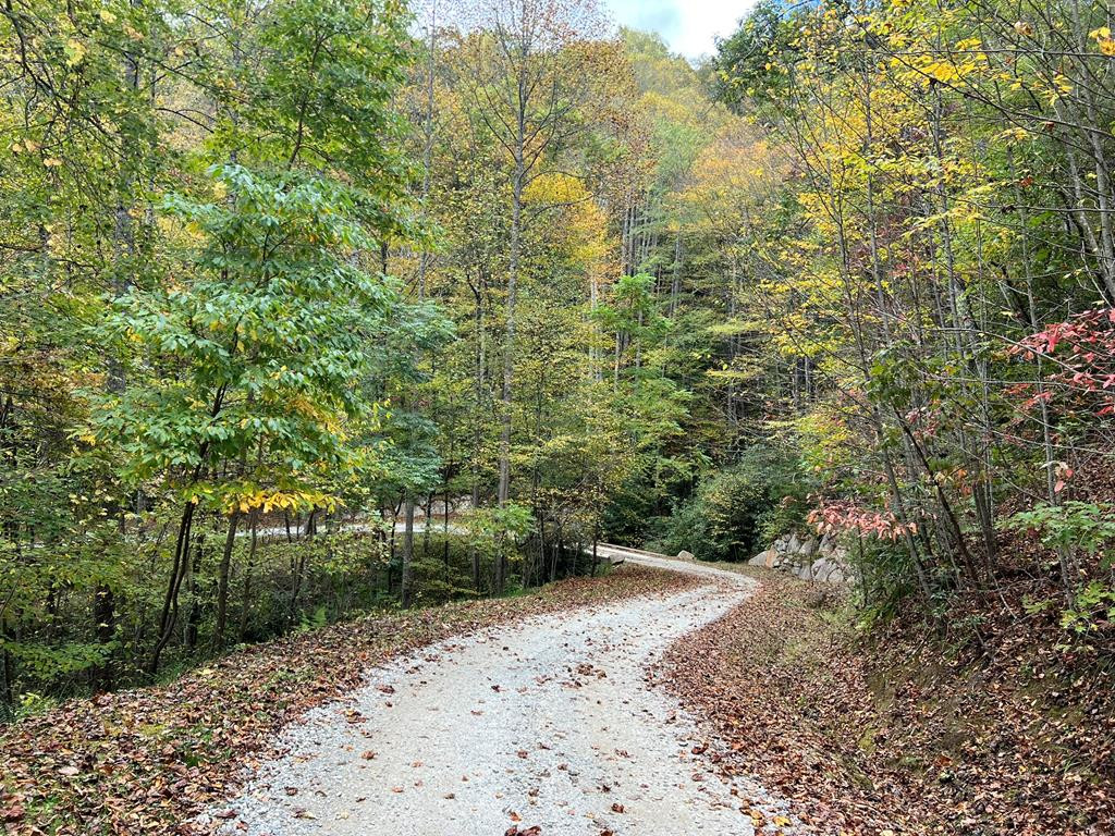 Lot 19 Preserve Valley Road Topton, NC 28781 - Photo 1 of 5 Main View